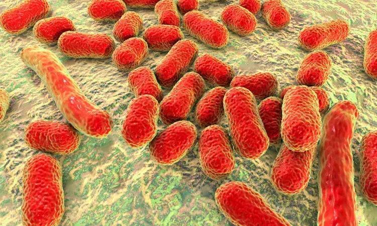 Synthetic antimicrobial Cresomycin highly effective against multidrug-resistant bacteria, finds research