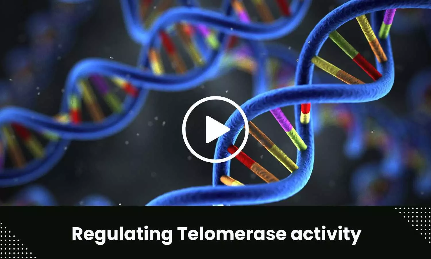 Regulating telomerase activity