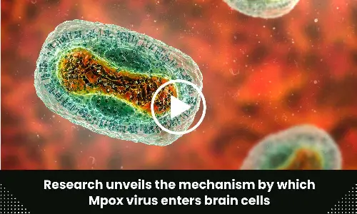 Research unveils the mechanism by which Mpox virus enters brain cells