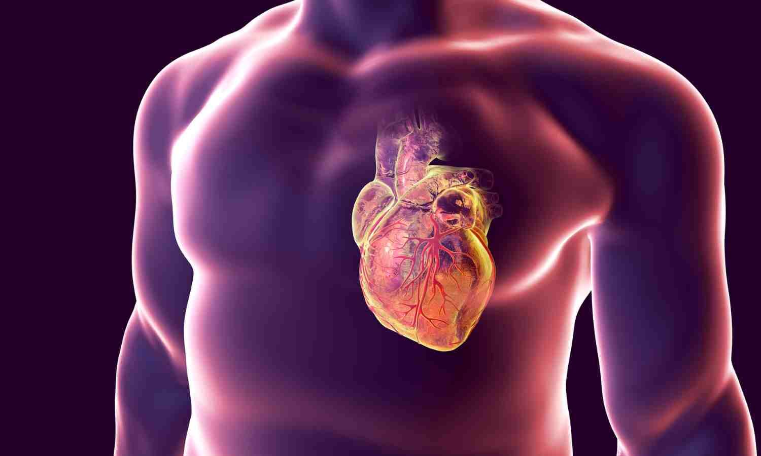 With help from AI, eye images offer window into cardiovascular risk: Study