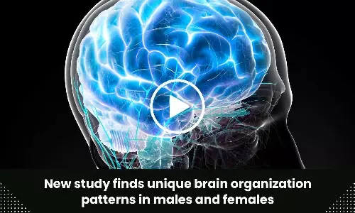 New study finds unique brain organization patterns in males and females
