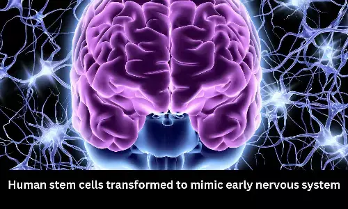 Human stem cells transformed to mimic early nervous system