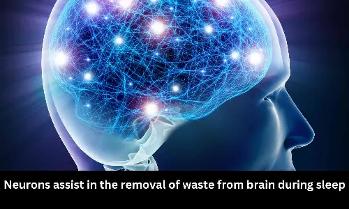 Neurons assist in the removal of waste from brain during sleep