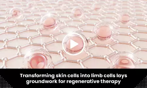 Transforming skin cells into limb cells lays groundwork for regenerative therapy