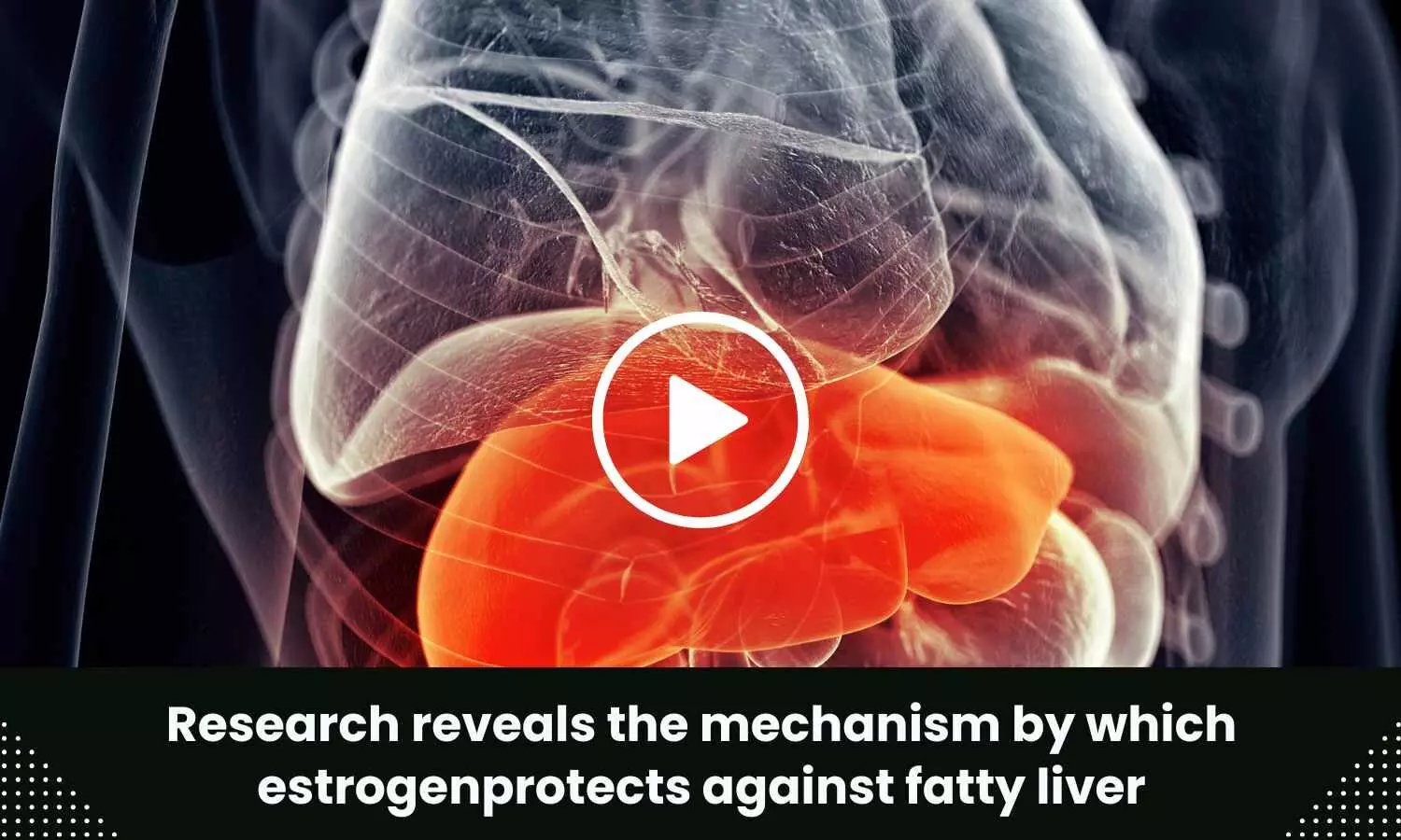 Research reveals the mechanism by which estrogen protects against fatty liver