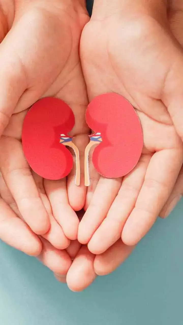 World Kidney Day 2024