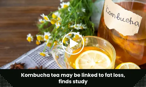 Kombucha tea may be linked to fat loss, finds study