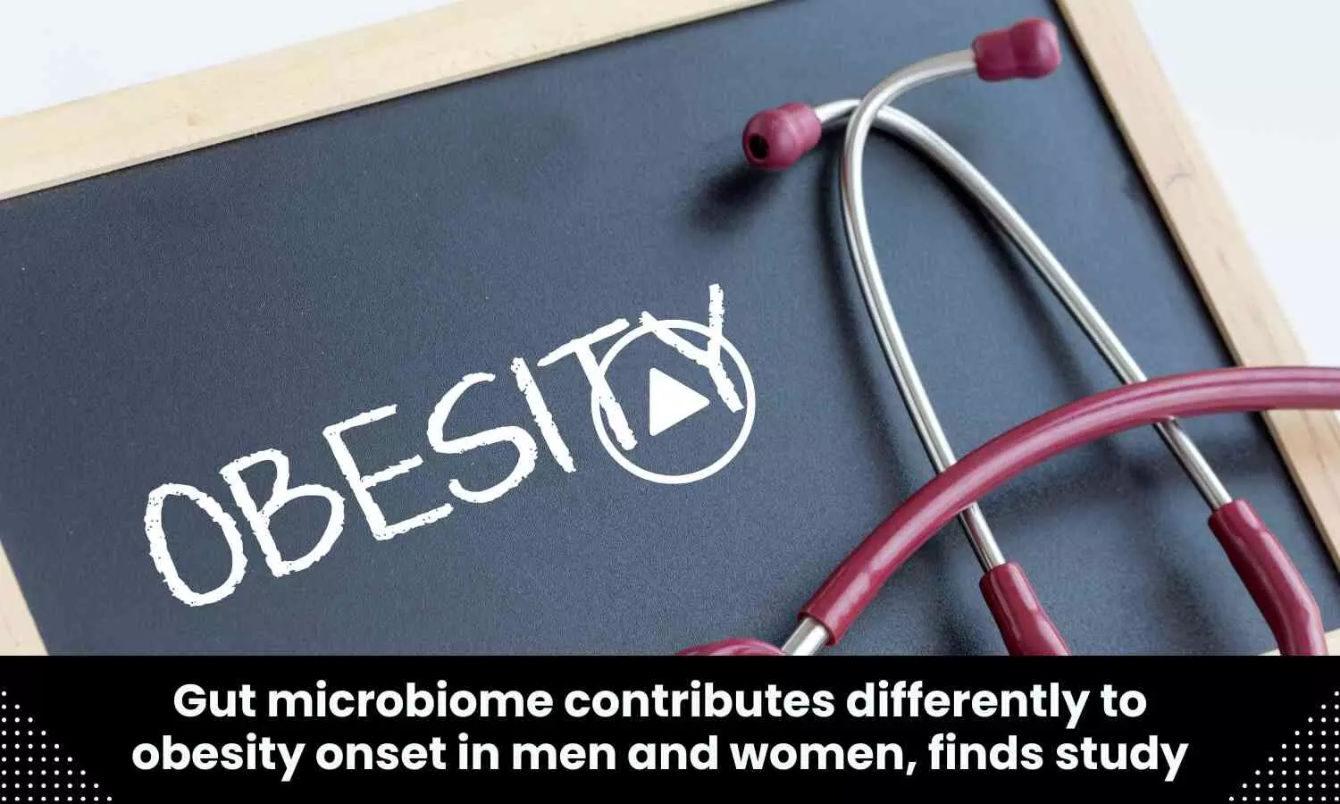 Gut microbiome contributes differently to obesity onset in men and women, finds study