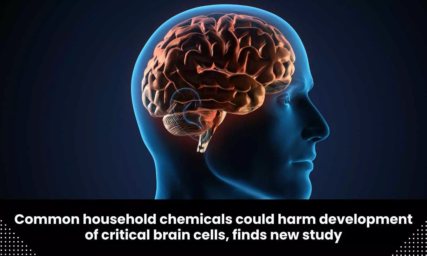 Study finds common household chemicals could harm development of critical brain cells