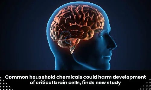 Study finds common household chemicals could harm development of critical brain cells