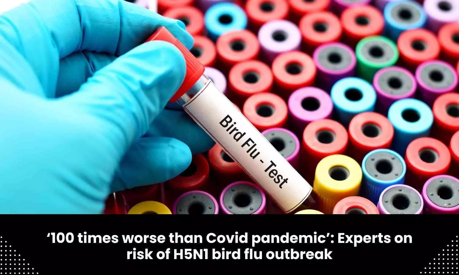 Bird flu outbreak 100 times worse than COVID: Experts