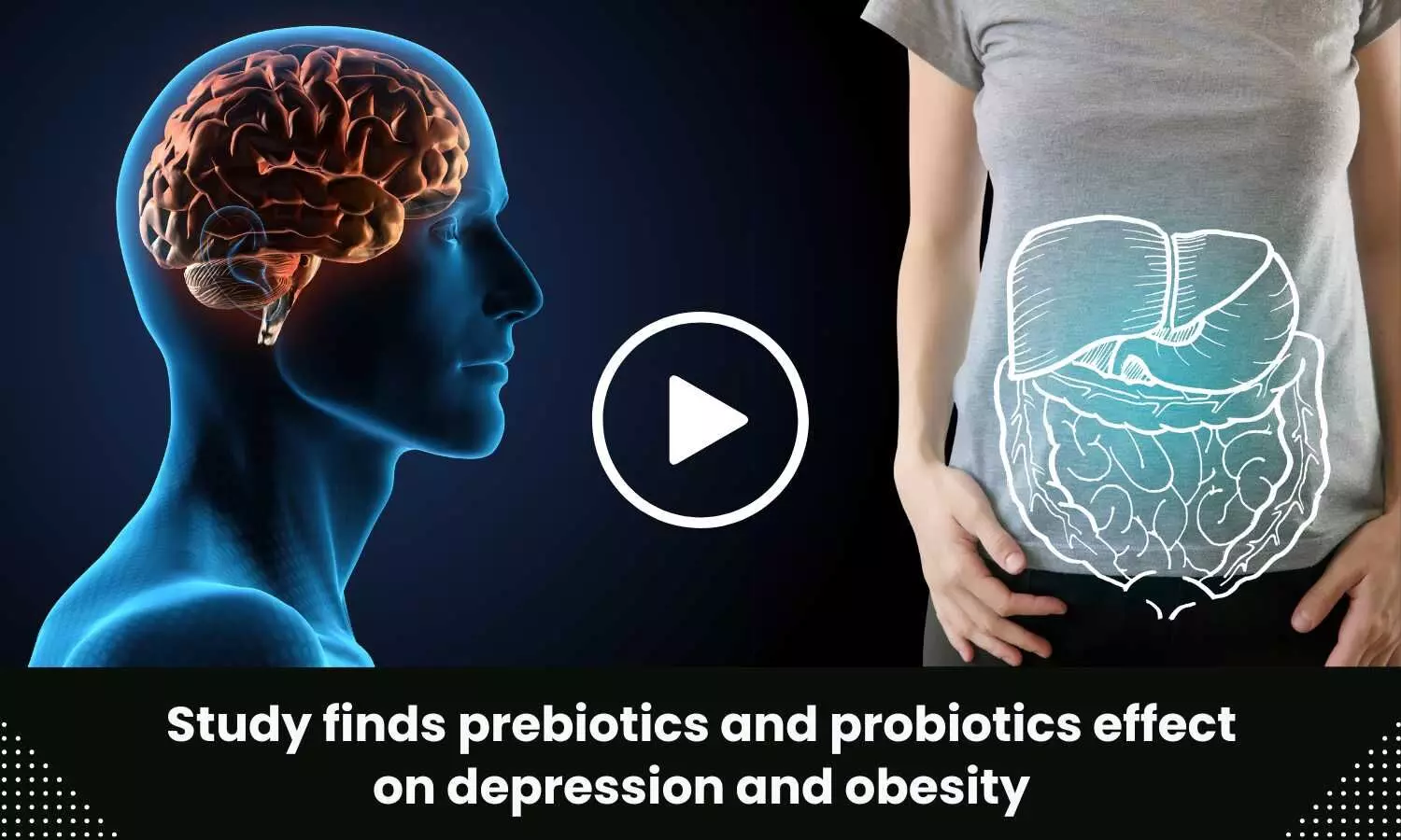 Study finds prebiotics and probiotics effect on depression and obesity