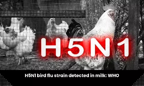 H5N1 bird flu strain found in raw milk from infected animals: WHO