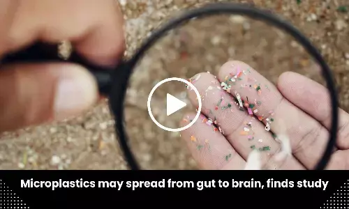 Microplastics may spread from gut to brain, finds study