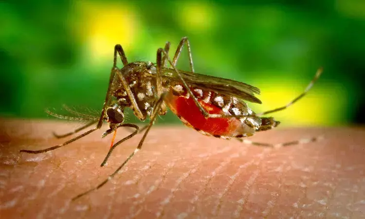 Dengue fever infections have negative impacts on infant health for three years-study