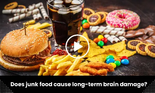 Does junk food cause long-term brain damage?