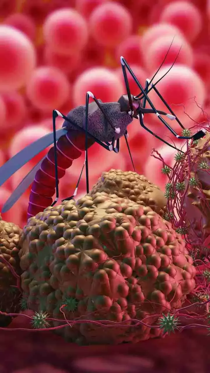 World Malaria Day 2024