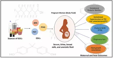 Exposure to TNF- alfa inhibitors during pregnancy not tied to reduced risk of preeclampsia: Study