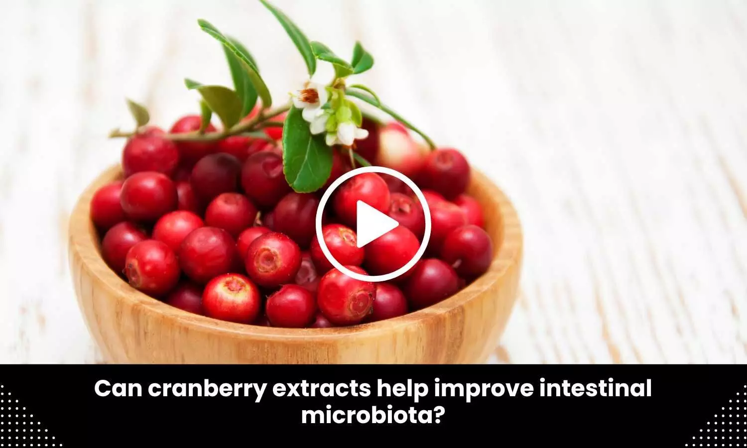 Can cranberry extracts help improve intestinal microbiota?