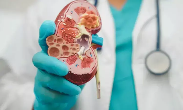Metabolic Syndrome Increases CV and Renal Risks in IgA Nephropathy Patients, suggests study