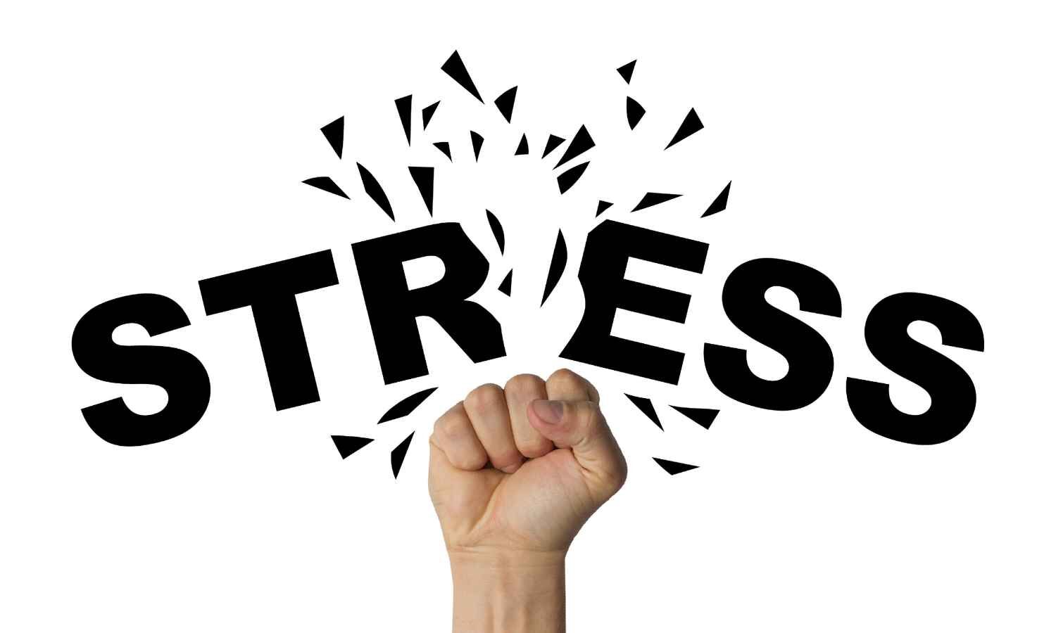 AI detects first imaging biomarker of chronic stress, reveals research