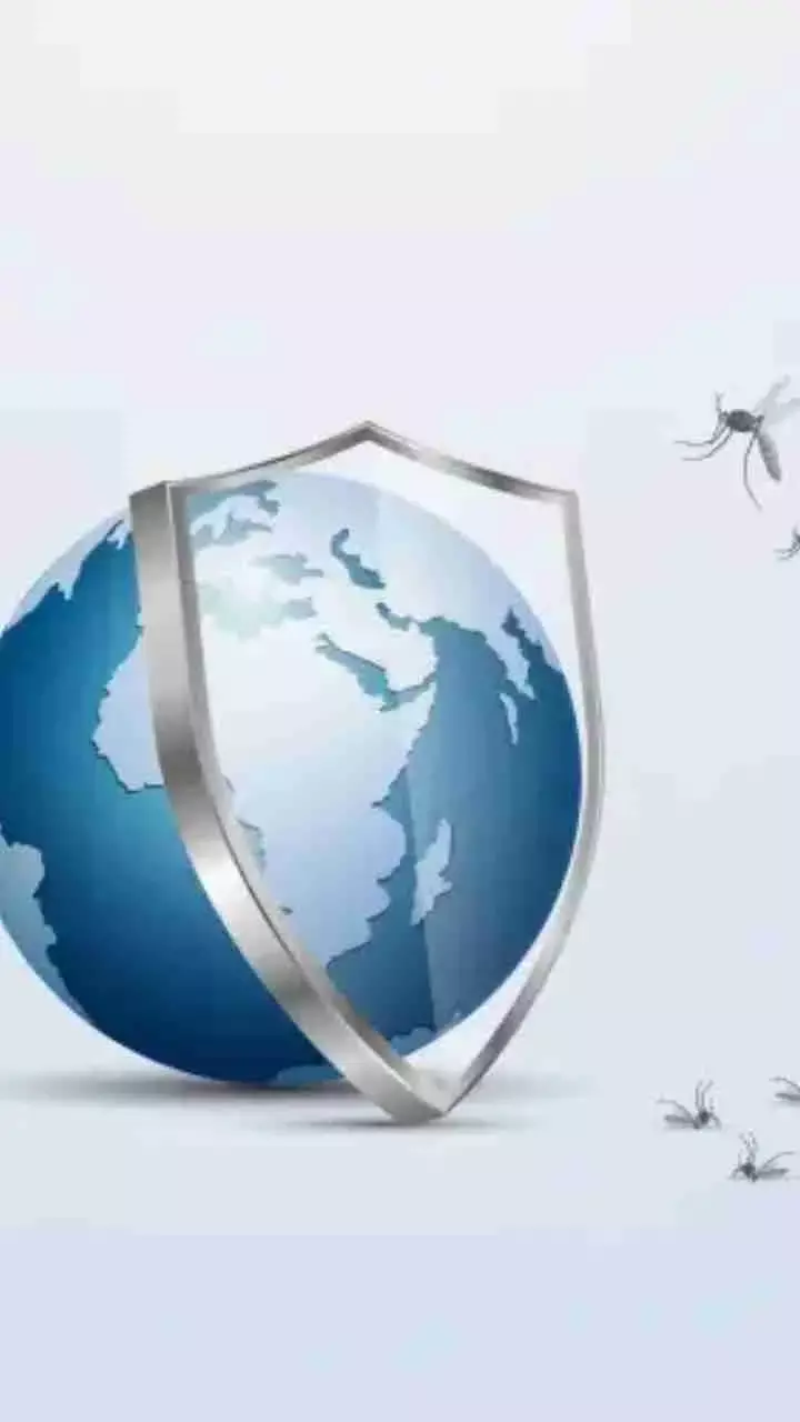 National Dengue Day 2024