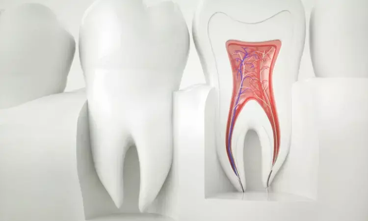 Breakthrough in Dentistry: AI model identifies root canal morphology in fused-rooted mandibular second molars in new research