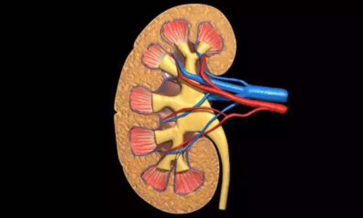 Rare Case: Renal Sarcoidosis with Parotid and Uterine Complications