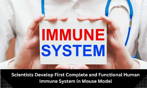 Researchers develop first complete,functional human immune system in mouse model