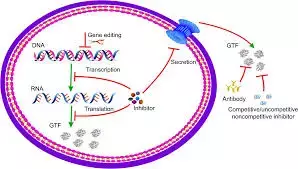 Multiple-enzymes lozenge  may be an adjunct to regular mechanical plaque removal, suggests study