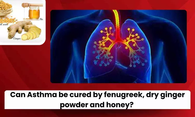 Fact Check: Can Fenugreek, Ginger, and Honey Cure Asthma?