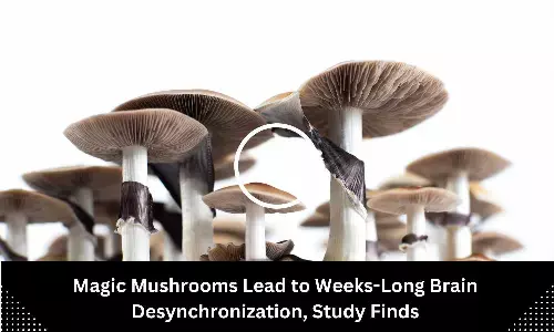 Magic Mushrooms Lead to Weeks-Long Brain Desynchronization, Study Finds