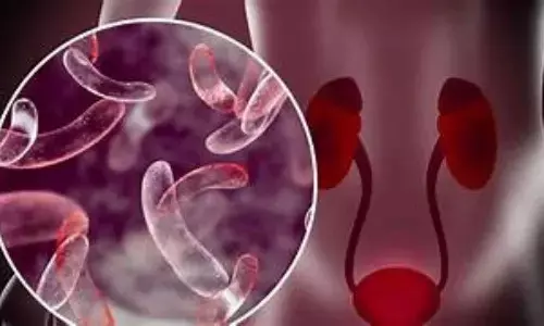 Cranberry Juice Reduces UTIs More Effectively Than Cranberry Tablets and Liquids, Shows research Cranberry Juice Reduces UTIs More Effectively Than Cranberry Tablets and Liquids, Shows research