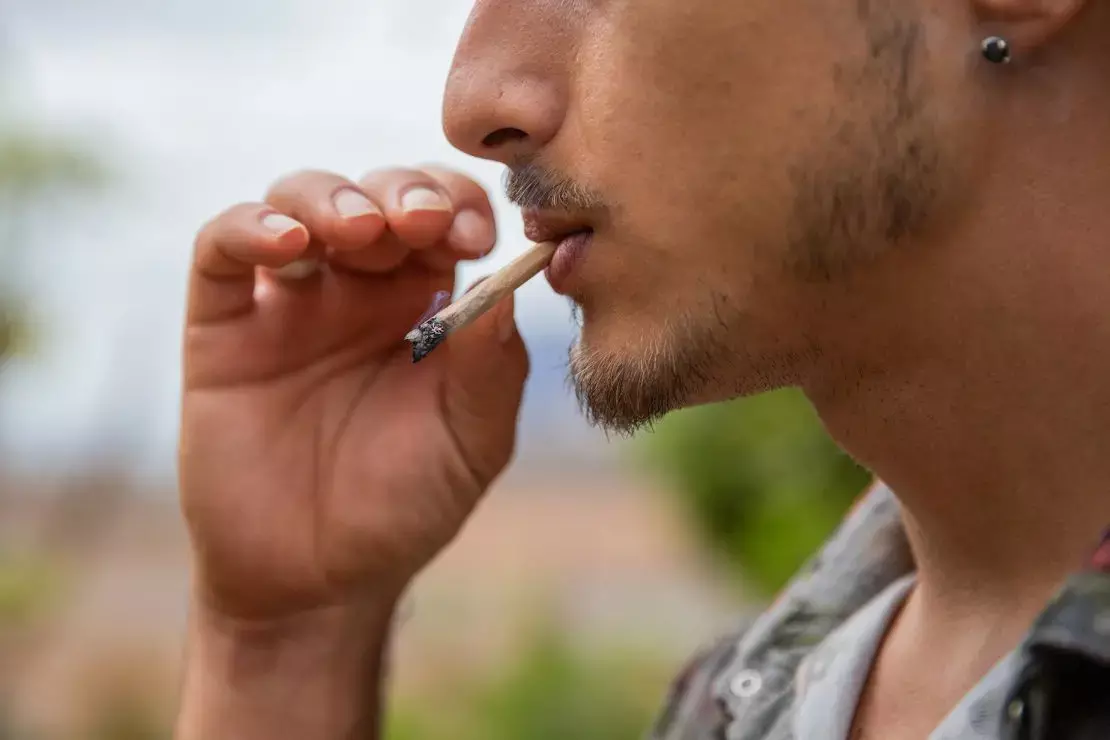 Cannabis-related disorder linked to development of head and neck cancer in adult patients: JAMA