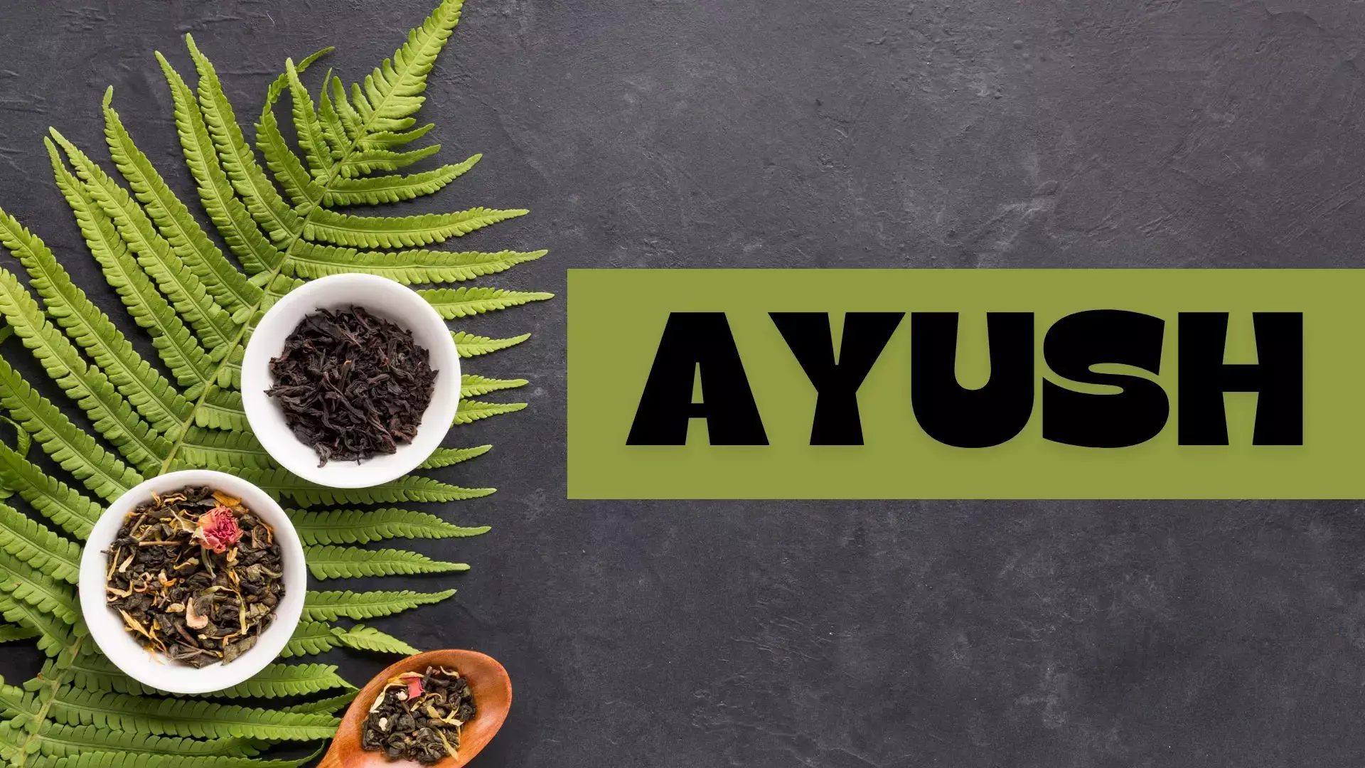 AACCC to Begin Round 2 AYUSH UG Counselling on September 17