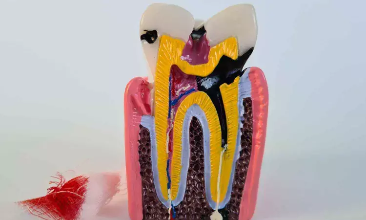 Proteins in tooth enamel offer window into human wellness, reveals research