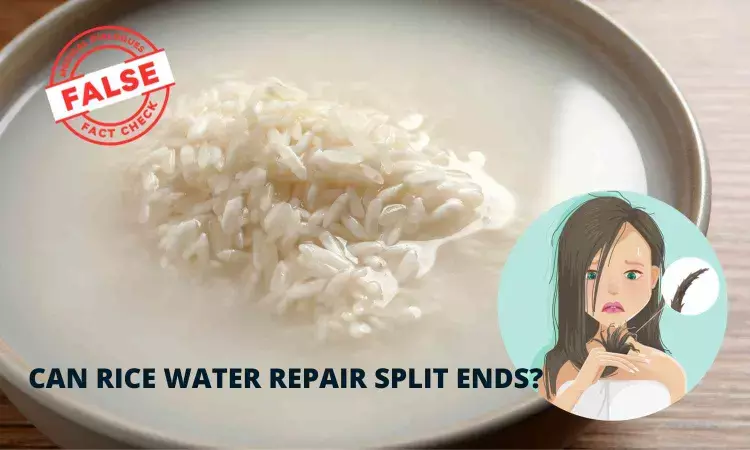 Fact Check: Can massaging hair with rice water for 5 minutes repair split ends?