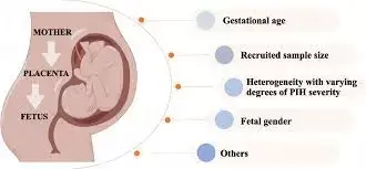 Delta neutrophil index promising biomarker for detecting fetal growth restriction processes and its complications, finds study