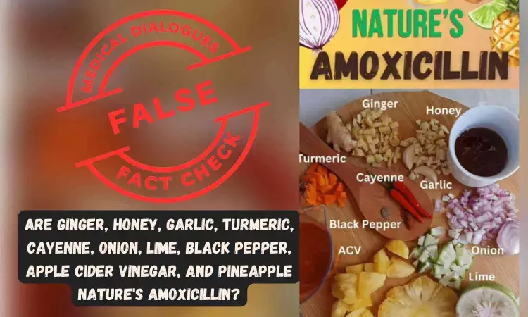 Fact Check: Are ginger, honey, garlic, turmeric, cayenne, onion, lime, black pepper, apple cider vinegar and pineapple Natures amoxicillin?