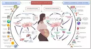 Longer Inter Pregnancy interval associated with increased risk of GDM recurrence in subsequent pregnancies: Study