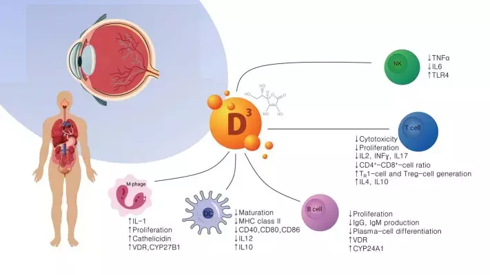 Vitamin D supplementation associated with significantly increased incidence of remission of chronic anterior uveitis: Study