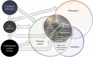 Schizophrenia and MDD causally linked to increased constipation risk, discovers study