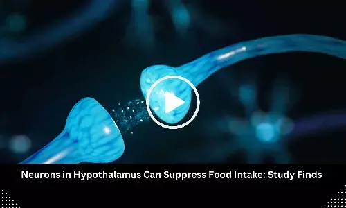 Neurons in Hypothalamus Can Suppress Food Intake: Study Finds