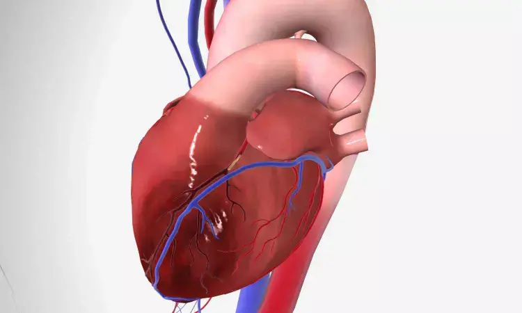 First dual chamber leadless pacemaker implanted in a child,  report researchers