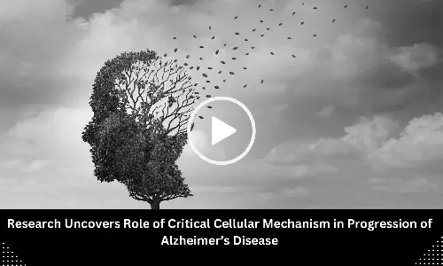 Study Links Key Cellular Mechanism to Progression of Alzheimers Disease