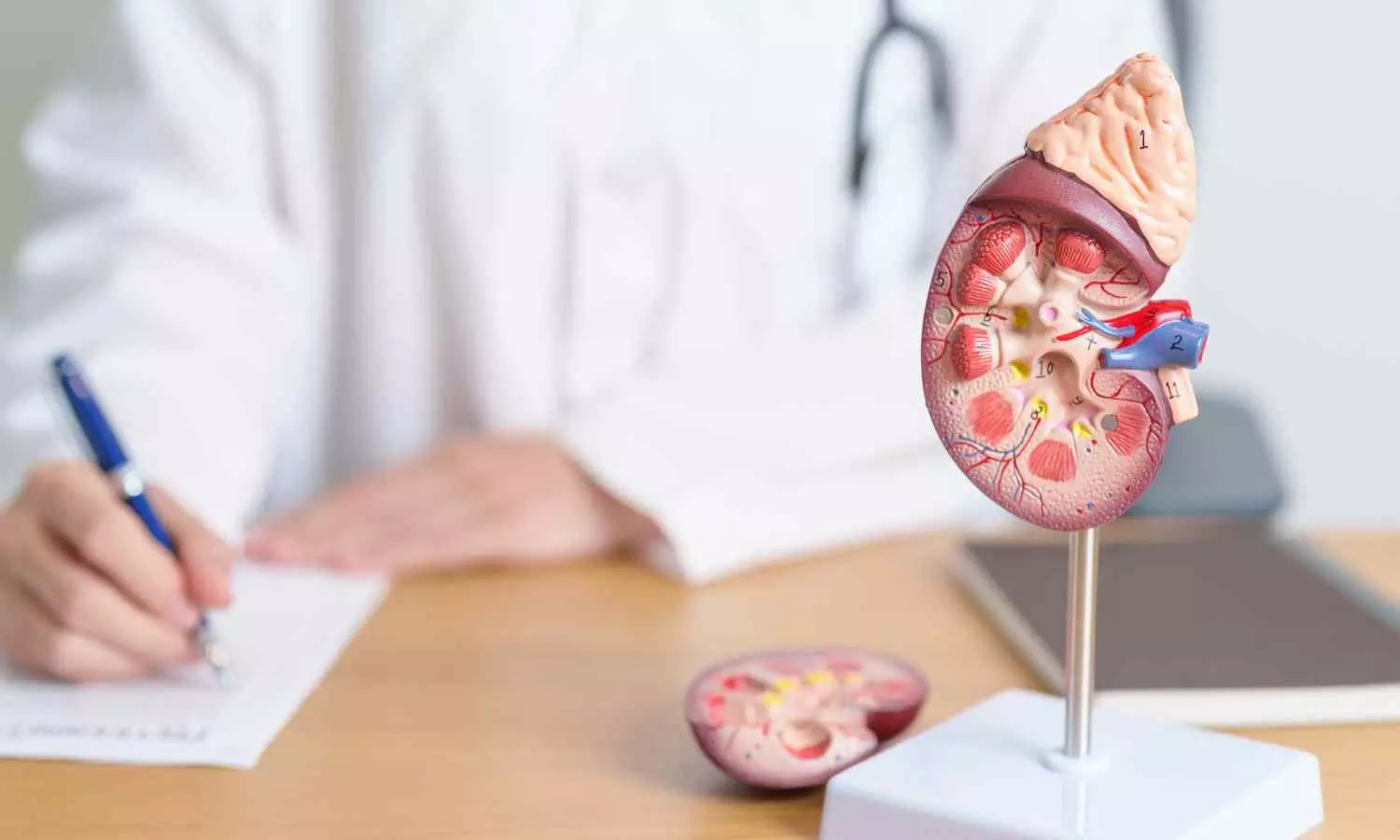 Higher α-Klotho Levels Linked to Lower Frailty Progression After Dialysis initiation: Study