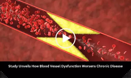 Study Unveils How Blood Vessel Dysfunction Worsens Chronic Disease