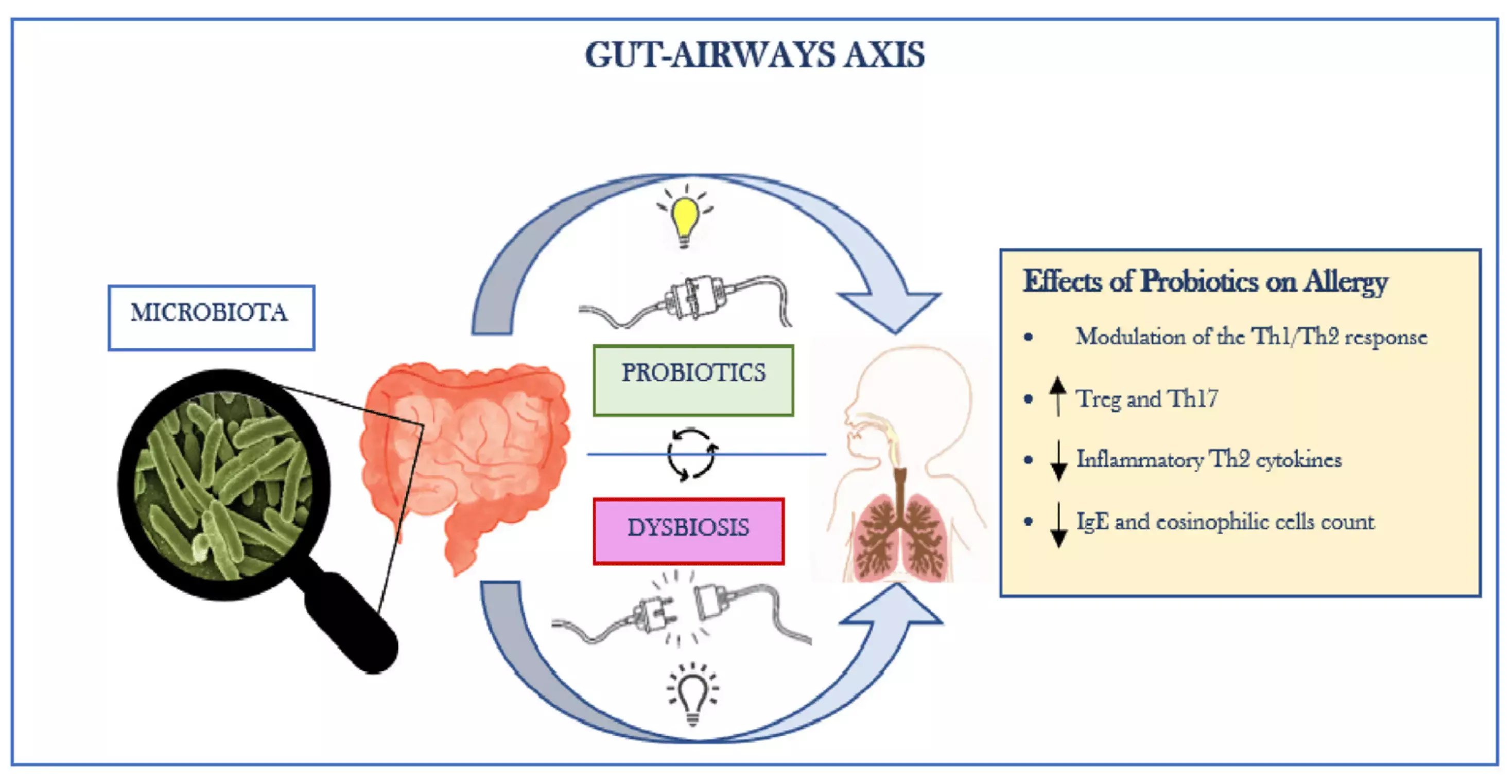 Probiotics useful treatment option for allergies to food among pediatric patients finds study