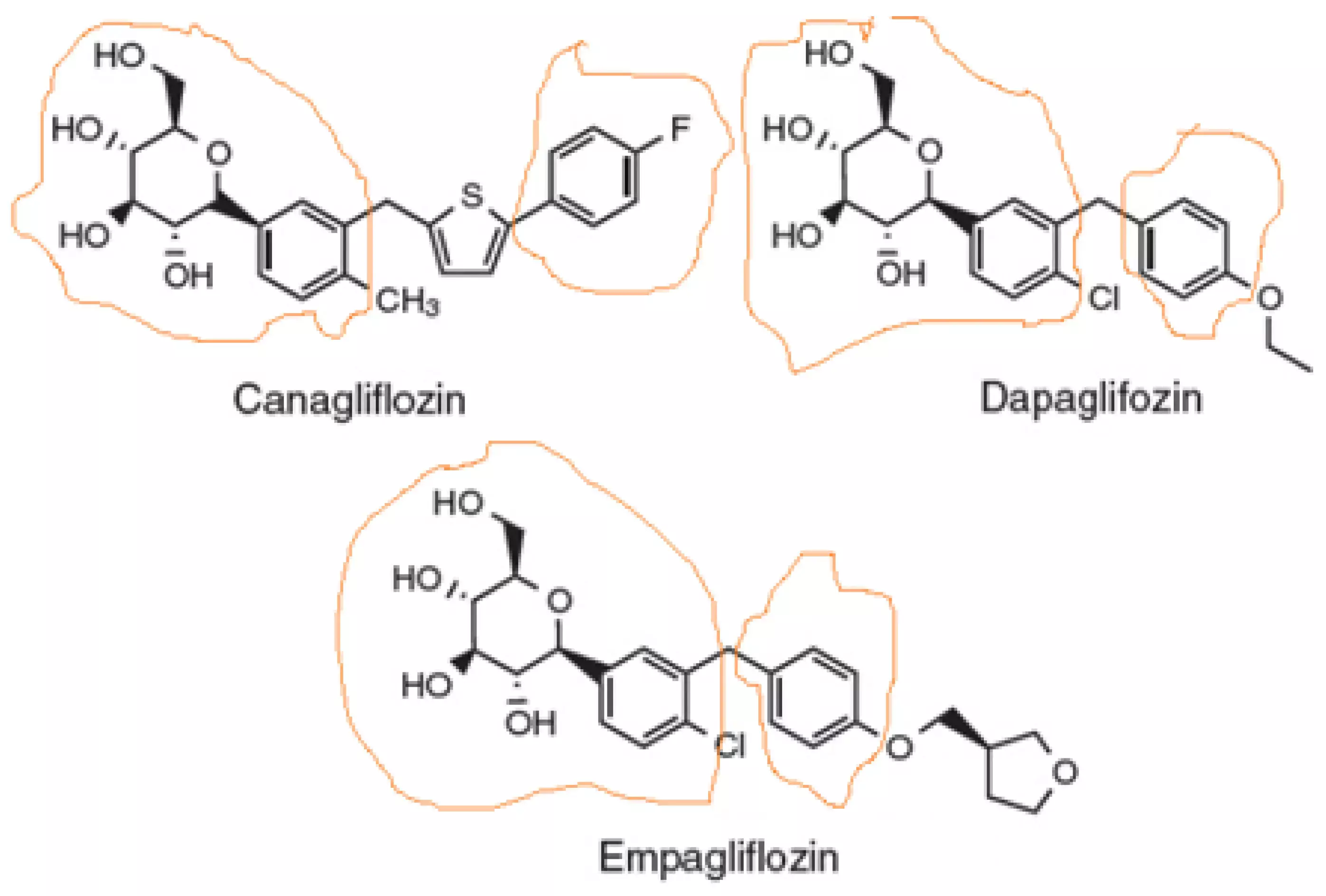 Empagliflozin and dapagliflozin have comparable long-term kidney outcomes in Type 2 Diabetes: JAMA