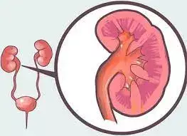 No Difference in Time to Relapse Between Two Non-Steroid Immunosuppressants in Childhood Nephrotic Syndrome: JAMA